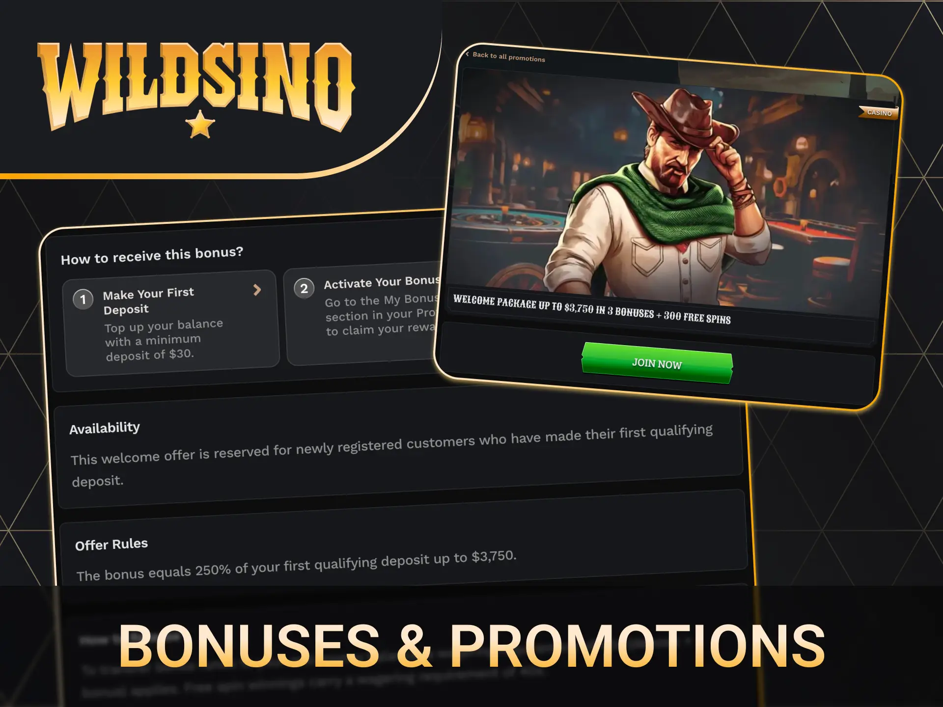 Claim exclusive Wildsino promotions and increase your winning chances.