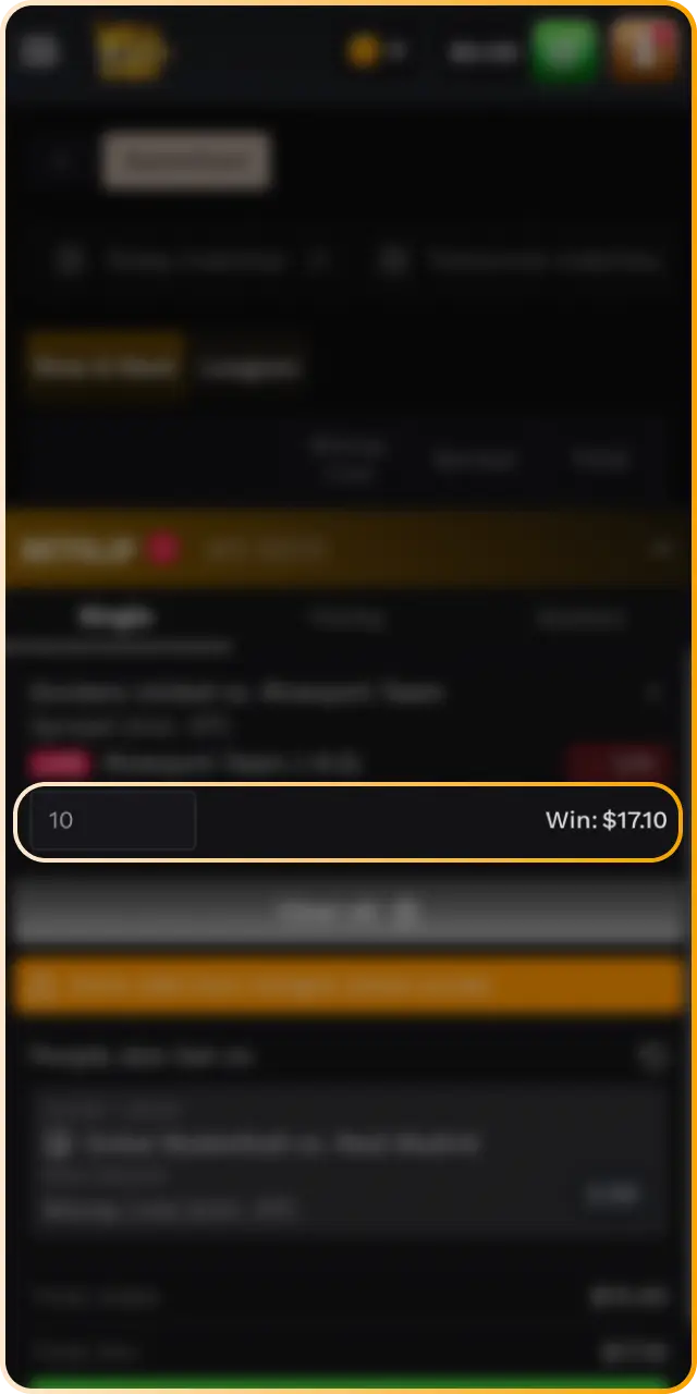 Enter your preferred stake amount for the Bet at Wildsino.