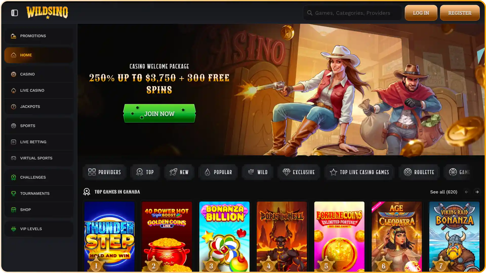 Explore the user-friendly main page navigation and layout at Wildsino.
