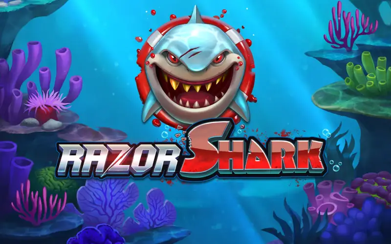 Dive into high rewards playing Razor Shark slot at Wildsino.